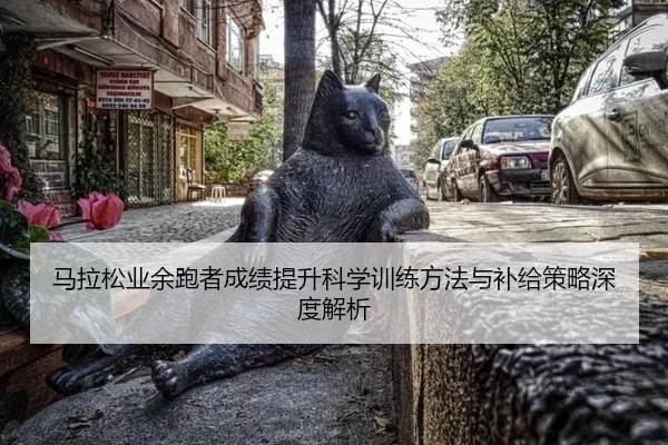 ma-la-song-ye-yu-pao-zhe-cheng-ji-ti-sheng-ke-xue-xun-lian-fang-fa-yu-bu-ji-ce-lve-shen-du-jie-xi-2-730.jpg